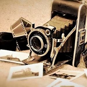 Meet your Posher, Lilianna